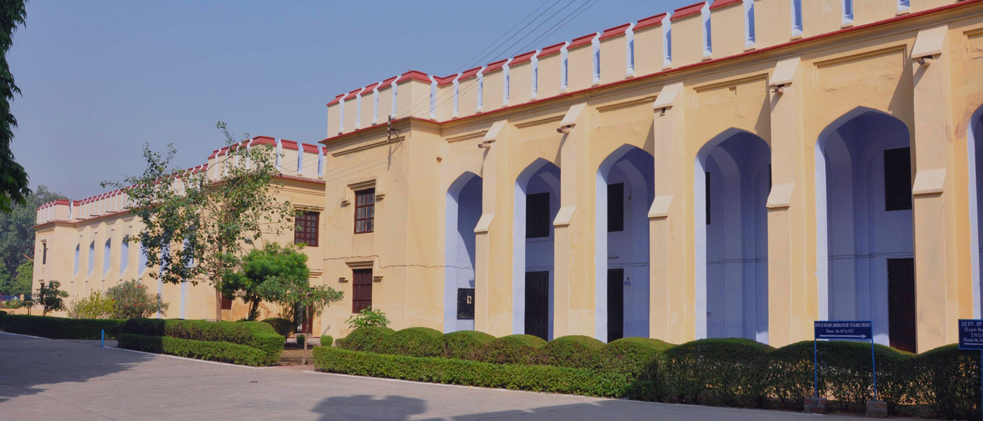 Agra College